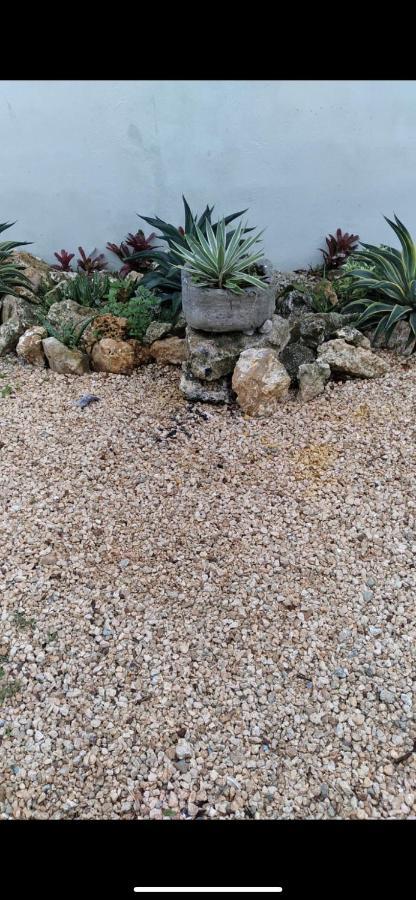 Van Vliet Gasthof Punta Cana